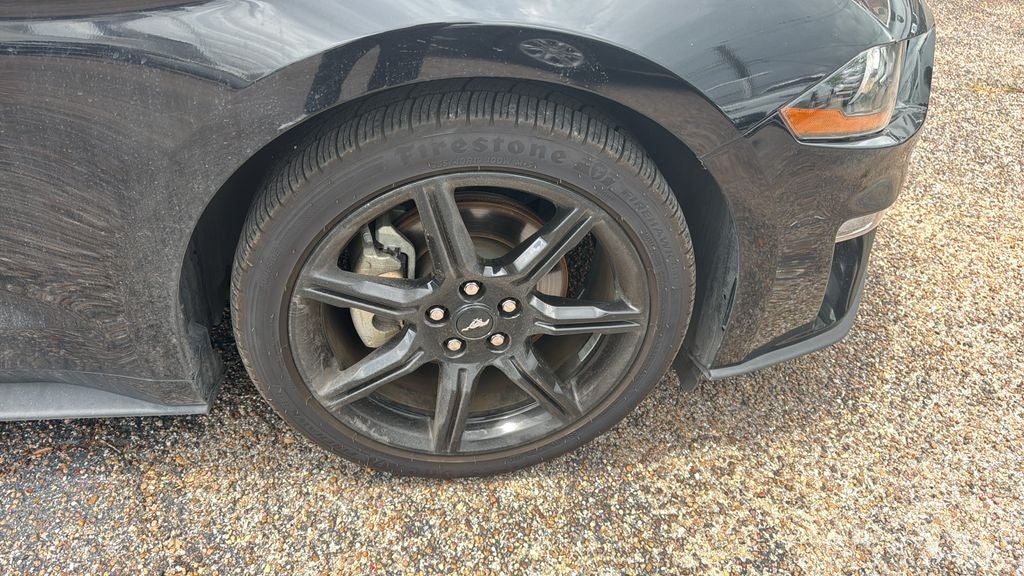 2019 Ford Mustang EcoBoost