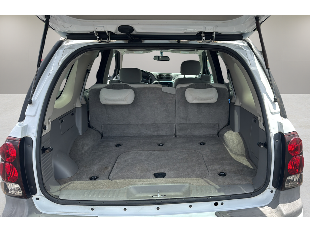 2008 Chevrolet TrailBlazer Fleet w/2FL