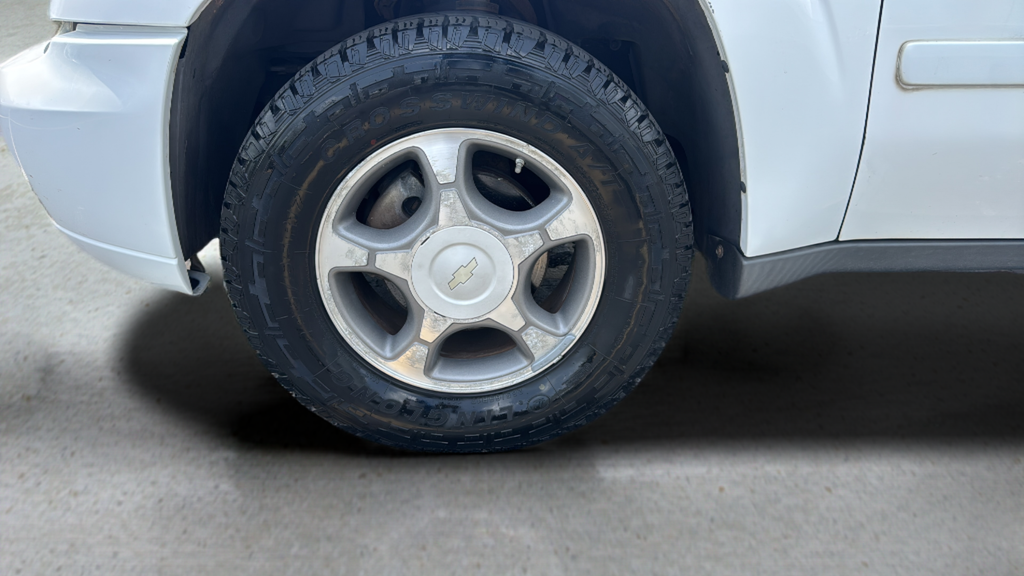 2008 Chevrolet TrailBlazer Fleet w/2FL