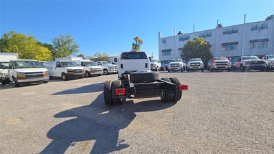 2024 Chevrolet Silverado MD Work Truck
