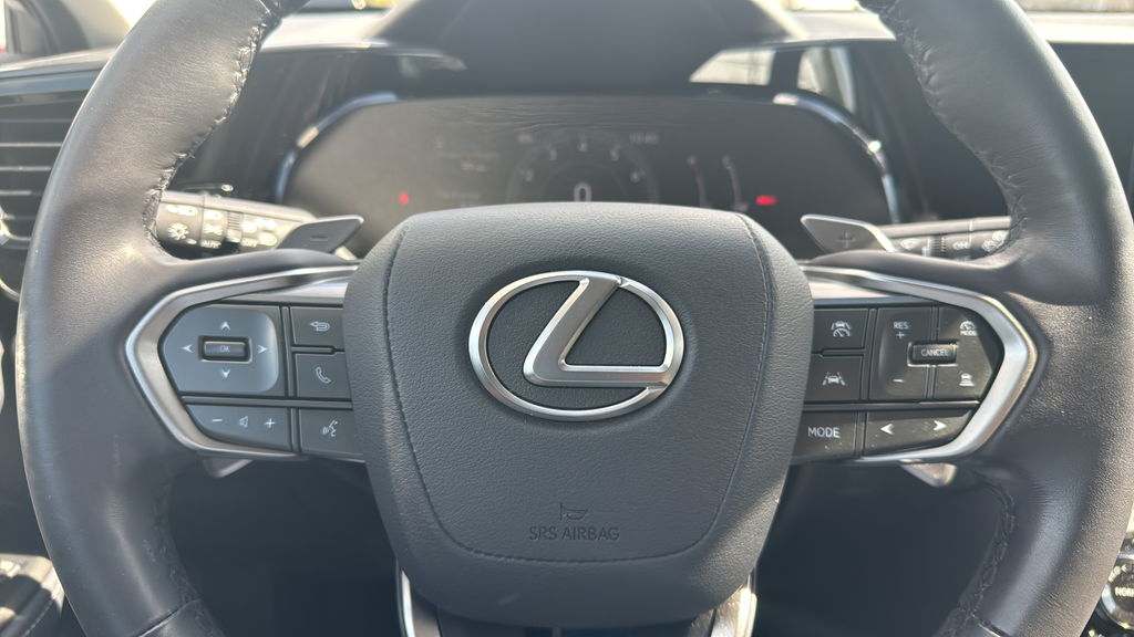 2024 Lexus NX NX 250