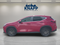 2024 Lexus NX NX 250