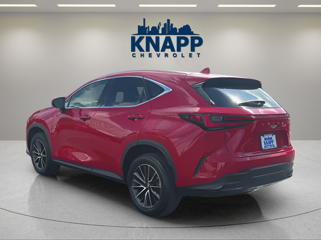 2024 Lexus NX NX 250