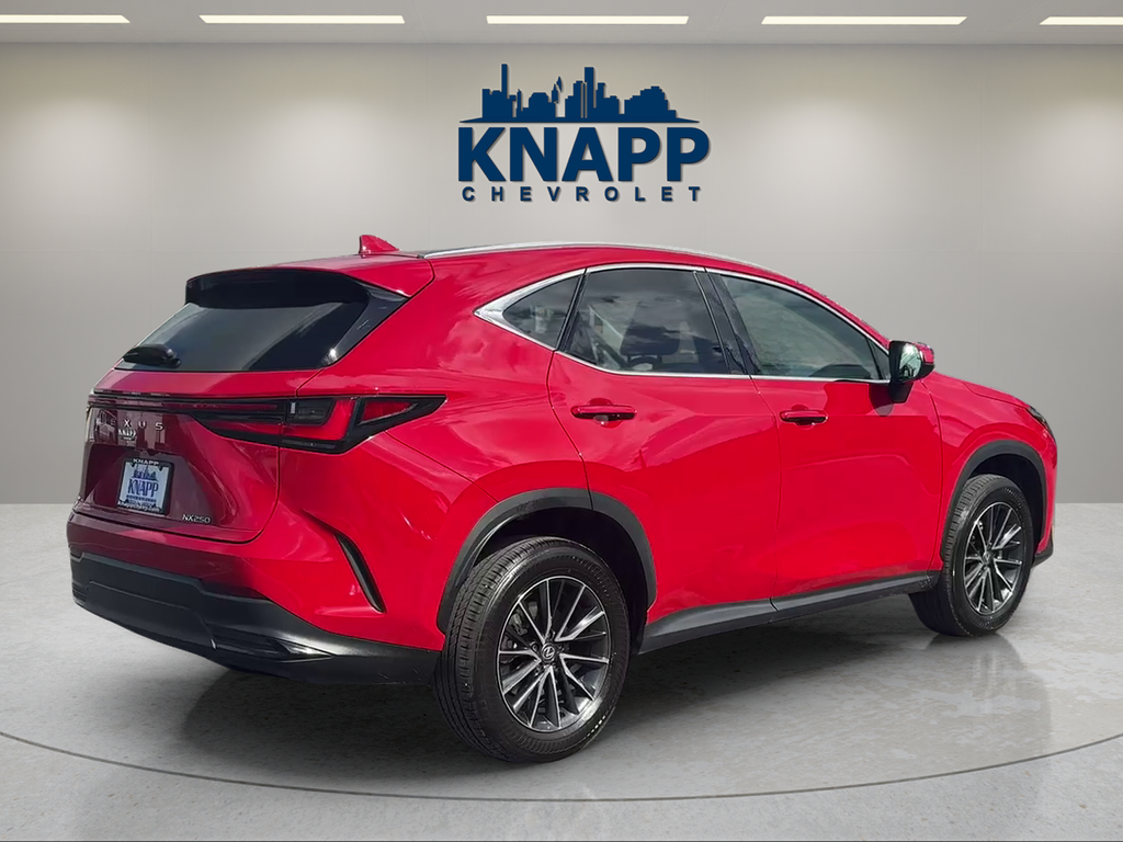 2024 Lexus NX NX 250