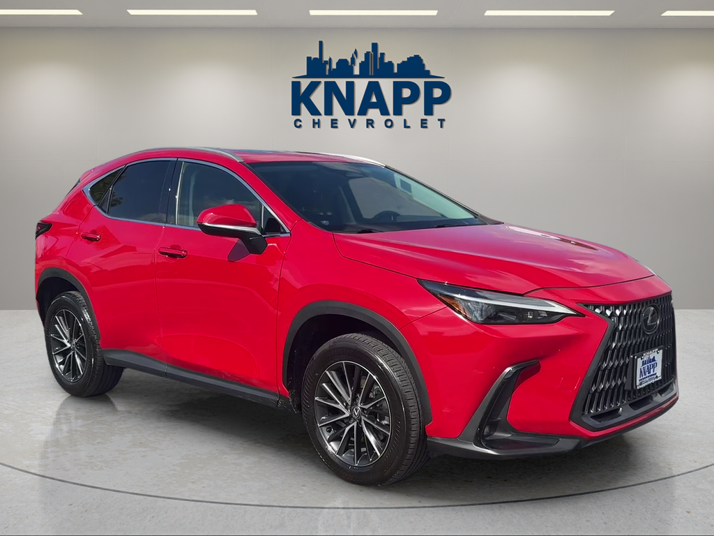 2024 Lexus NX NX 250