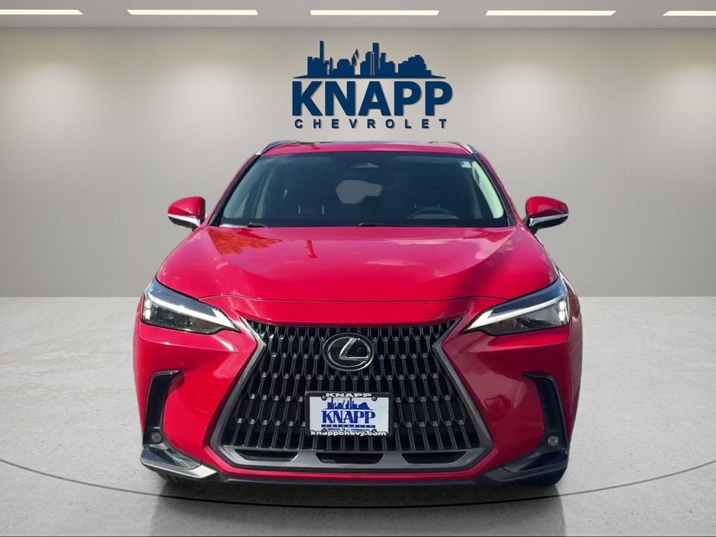 2024 Lexus NX NX 250