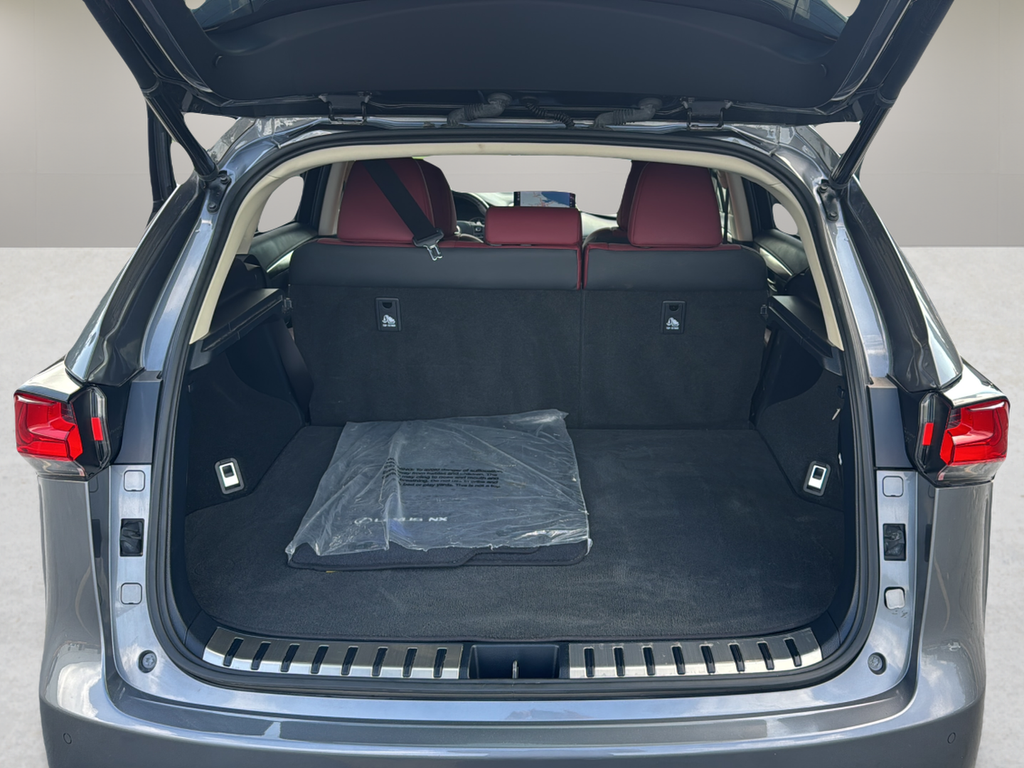 2019 Lexus NX NX 300
