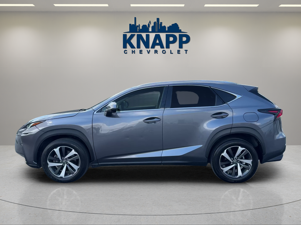 2019 Lexus NX NX 300