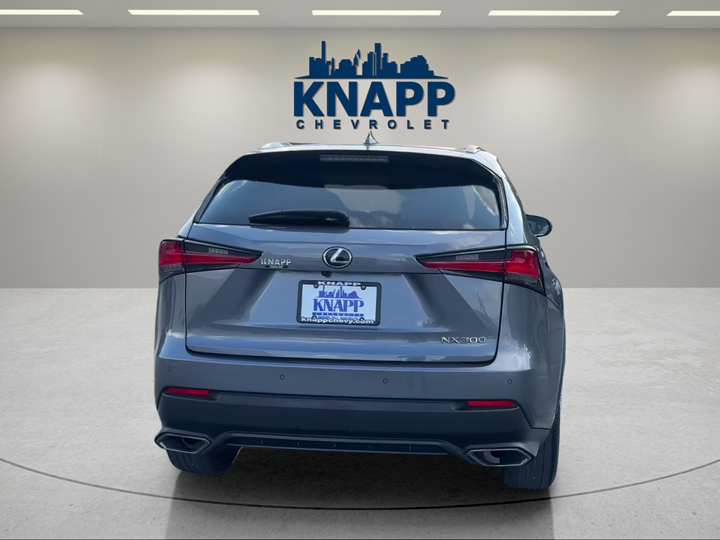 2019 Lexus NX NX 300
